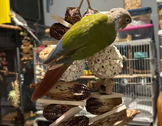 Playful Natural Foraging Ball Bird Pet Chew Ornament