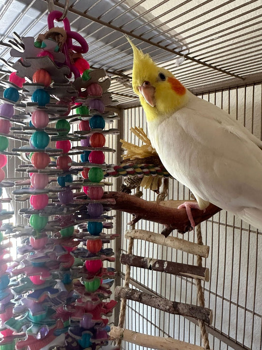 Color Stack Puzzle Bead Bird Hanging Pet Chew Toy